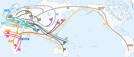 The spread of humankind throughout the world can be mapped through Y-DNA mutations forming new and younger haplogroups. Like most Western Europeans, the Ewings belong to the R1b branch