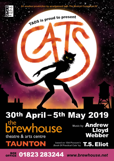 Poster for Cats the musical