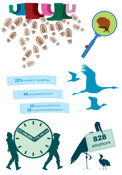 infographics for the Wildfowl Wetland Trust